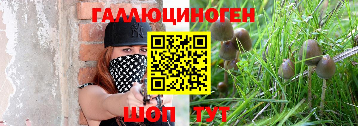 Псилоцибиновые грибы MAGIC MUSHROOMS Урус-Мартан